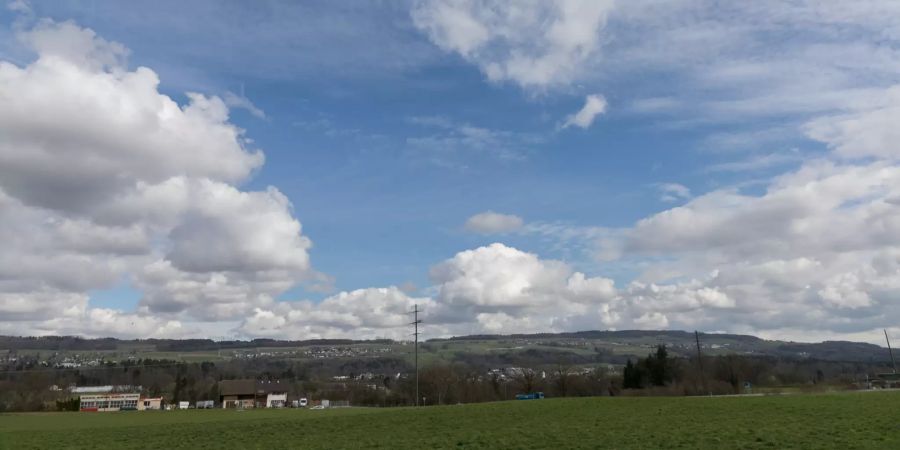 Landschaftsaufnahmen bei Niederwil.