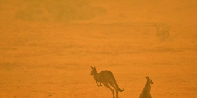 Rekordhitze & Zyklon - Australien steht vor extremem Wochenende