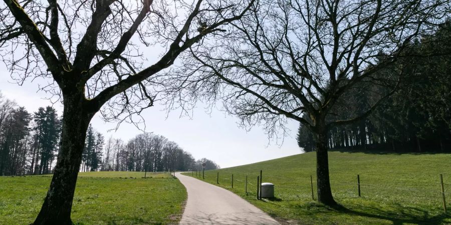 Homberg bei Reinach.