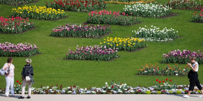 Landesgartenschau