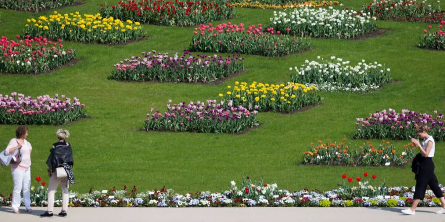 Landesgartenschau