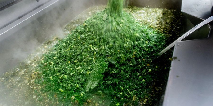 Das vitaminreiche Wintergemüse, auch bekannt als «Oldenburger Palme», wird traditionell mit den Beilagen Salzkartoffeln, Kochwurst, Pinkelwurst und Kasseler serviert.