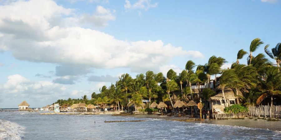 Erste Ausläufer einer riesigen Algenwolke sind Medienberichten zufolge bereits an Stränden der mexikanischen Halbinsel Yucatán angespült worden.