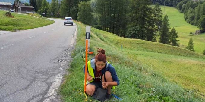 Eine Forscherin der ETH Zürich erfasst gebietsfremde Pflanzenarten entlang einer Bergstrasse im Wallis . Eine Forscherin der ETH Zürich erfasst gebietsfremde Pflanzenarten entlang einer Bergstrasse im Wallis .