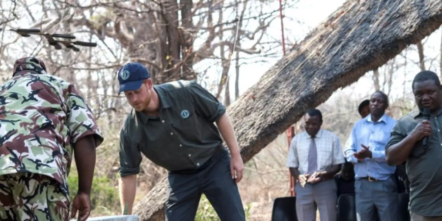 Prinz Harry gedenkt getötetem britischen Soldaten in Malawi