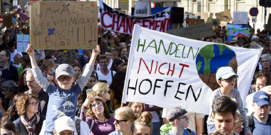 klimademo klimaschutz demonstration