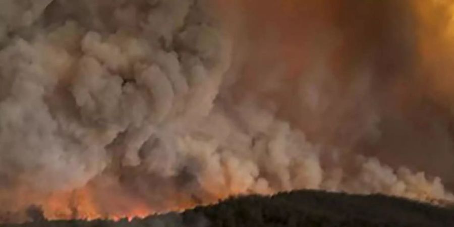 Dichte Rauchwolken steigen über einem Wald auf in Bairnsdale auf. Foto: Glen Morey/Glen Morey/dpa