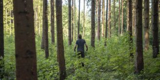Gemeinde - Eschenbach: Wildtiere nicht stören