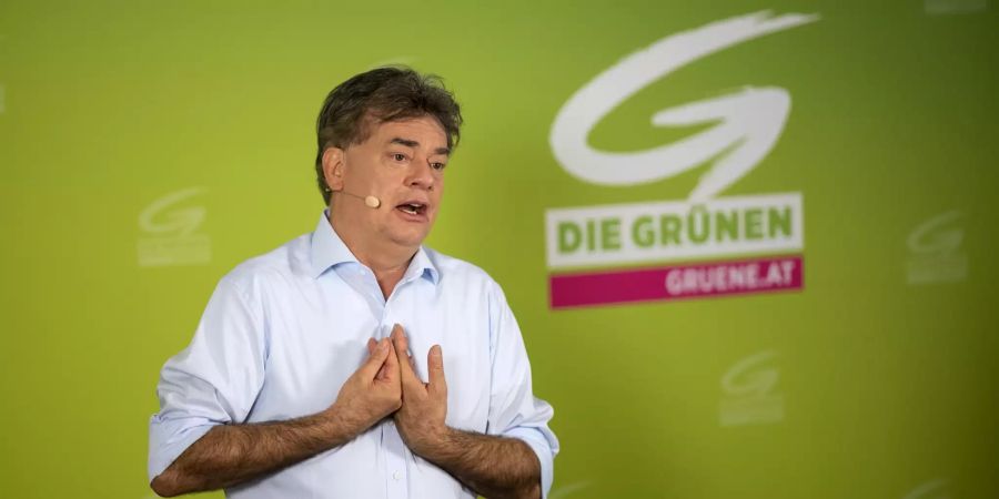 werner kogler grüne