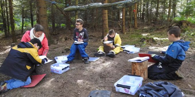 Waldschule-Unterricht Waldschule-Unterricht