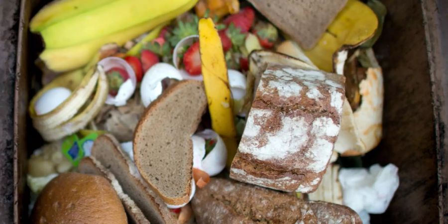 Foodwaste Lebensmittelabfall