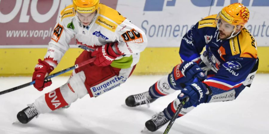 ZSC Lions
