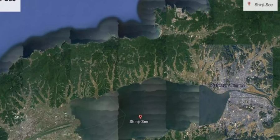 Eine Satellitenaufnahme des Shinji-Sees in Japan. Foto: Google/dpa