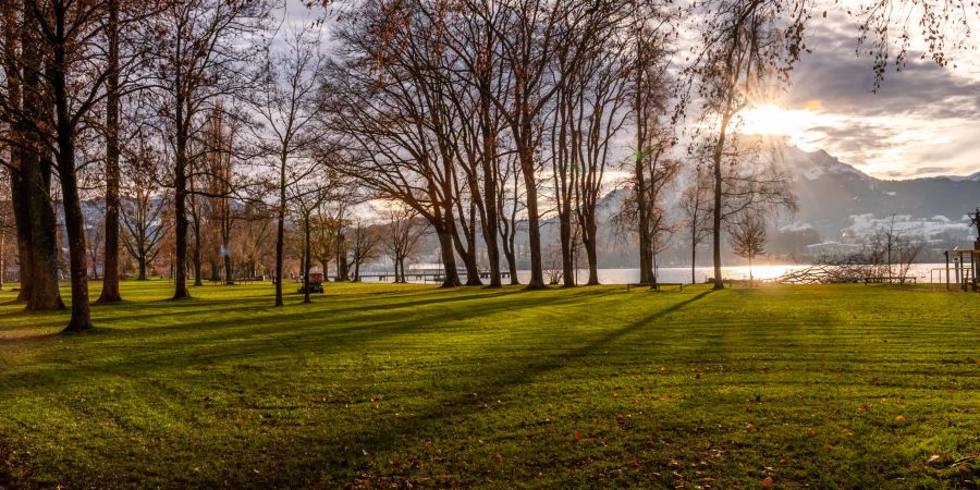 Ein Sonnenuntergang bei der Lido Wiese in der Stadt Luzern.
