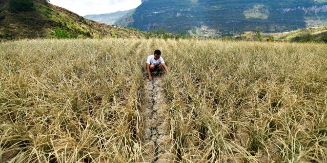 Ein Mann überprüft die durch Dürre verursachten Schäden an Reis (2022).
