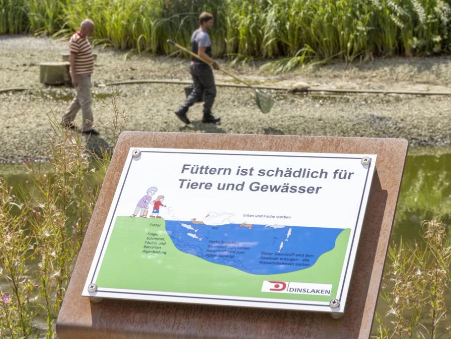 «Sie reagieren mit Flucht, Unterbrechung der Nahrungssuche oder einem erhöhten Stresslevel auf Störungen.»