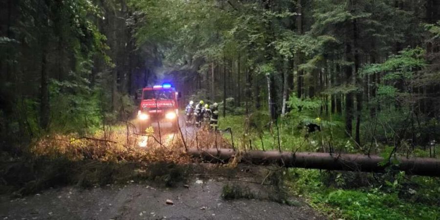 HANDOUT - Feuerwehrleute arbeiten auf einer Strasse, die durch einen von Unwetter umgestürzten Baum versperrt wird. Foto: Feuerwehr St. Martin/BFVDL DEUTSCHLANDSBERG/APA/dpa - ACHTUNG: Nur zur redaktionellen Verwendung und nur mit vollständiger Nennung des vorstehenden Credits