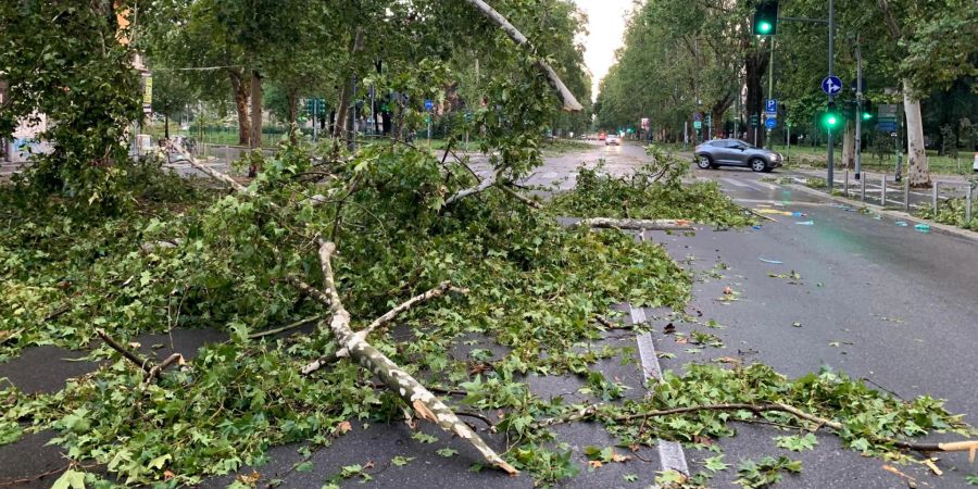 Violent storm with strong winds overnight in Milan