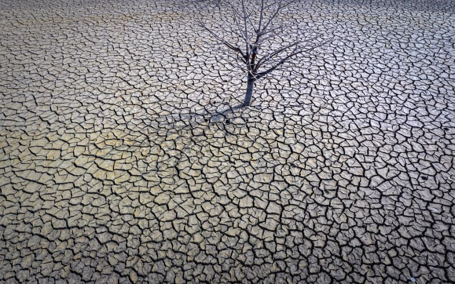 Durch den Klimawandel wird das Wetter in der Schweiz extremer. So sind Hitzewellen deutlich häufiger geworden (Symbolbild).