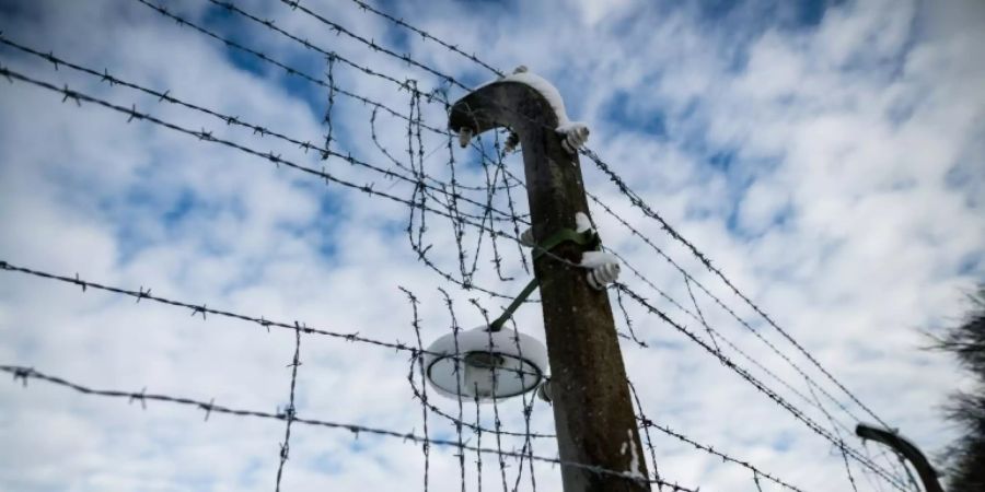 Ungebrochenes Interesse an Nachforschungen zu NS-Opfern