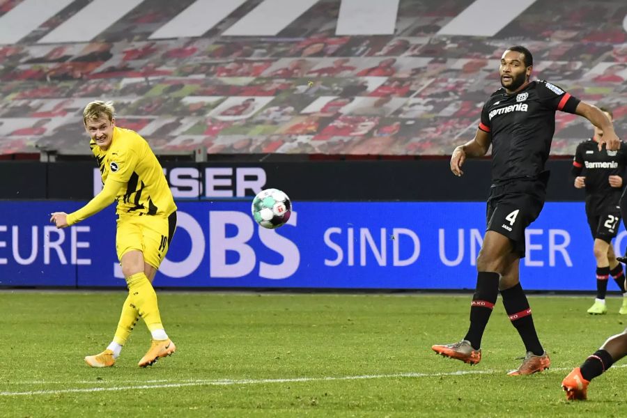 BVB Bayer Leverkusen