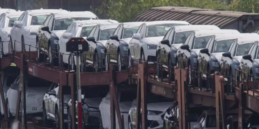 Neuwagen stehen auf einem Güterzug am Güterbahnhof in Seelze (Niedersachsen). Im Januar wurden rund 31 Prozent weniger Autos zugelassen als noch im Vorjahresmonat. Foto: Julian Stratenschulte/dpa