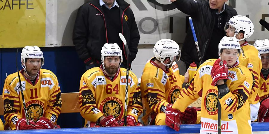 Der Langnauer Trainer Heinz Ehlers (links stehend hinter der Bande) will heute wieder einmal ein Heimspiel mit seinem Team gewinnen. Die SCL Tigers würden dadurch ein Entscheidungsspiel in Lausanne um den Halbfinal-Einzug erzwingen