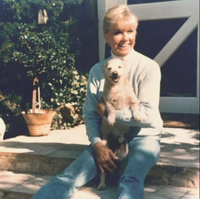 Doris Day war eine Tierschützerin. Doris Day