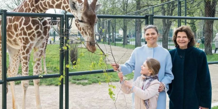 Königin Silvia, Kronprinzessin Victoria und Prinzessin Estelle besuchen den Tiergarten Schönbrunn. Foto: Daniel Zupanc/Tiergarten Schönbrunn