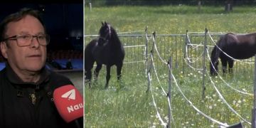 circus knie