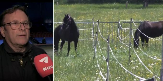 Kritik an Haltung - Knie zeigt seine Tiere auf der schönen Circus-Weide