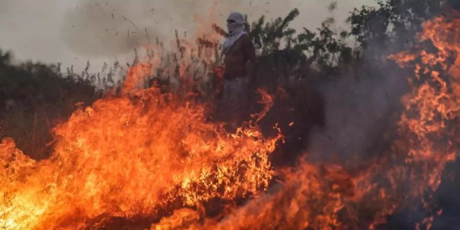 Ein Demonstrant während eines Protestes an der Grenze zwischen Brasilien und Venezuela. Foto: Ivan Valencia/AP