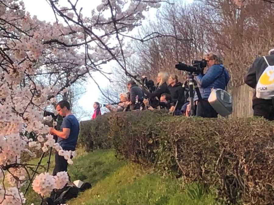 Die Fotografen stehen schon fast Schlange.