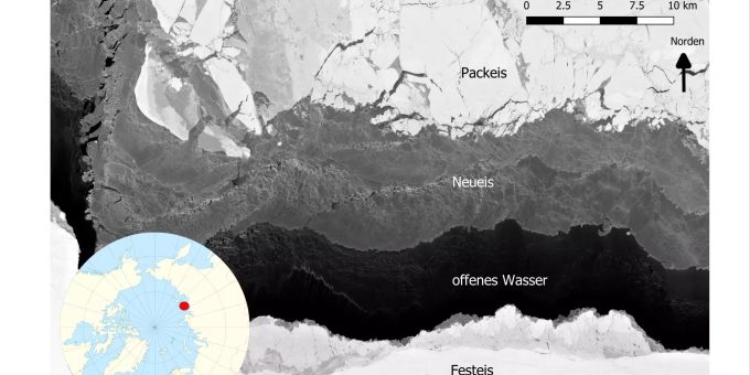 Zu wenig Eis in der Arktis Arktis fehlt der Eisnachschub