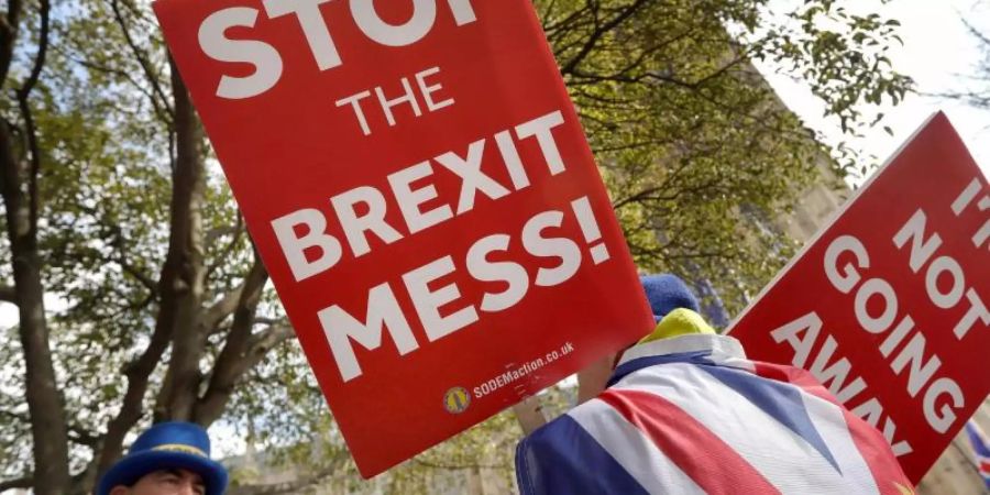 Anti-Brexit-Demonstranten vor dem Parlamentsgebäude in Westminster. Das Unterhaus sucht nach einer Alternative zum Austrittsabkommen. Foto: Kirsty Wigglesworth/AP