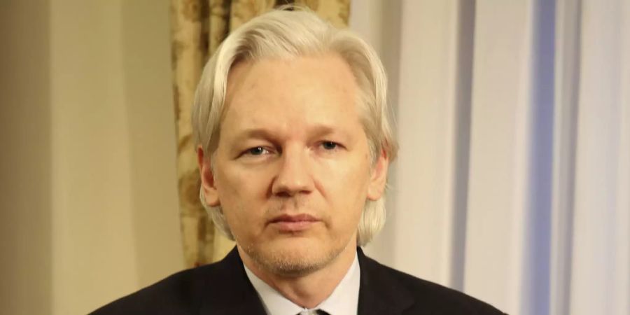 Der Wikileaks-Gründer Julian Assange im Jahr 2013.