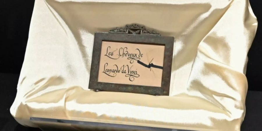 Exponat in der Ausstellung «Leonardo lebt»