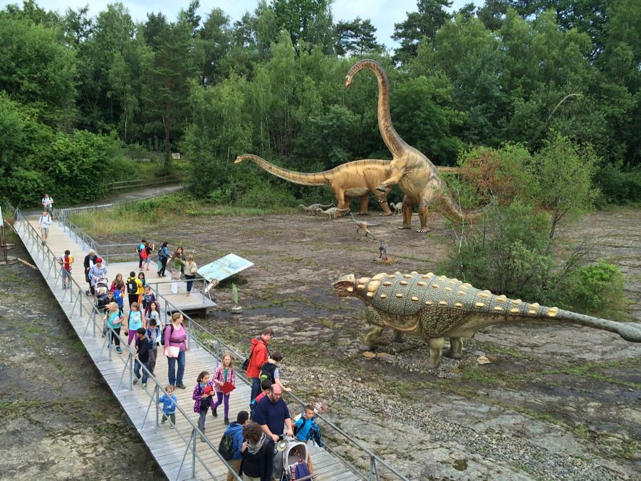 Park Dinosaurier Spuren Modelle Besucher