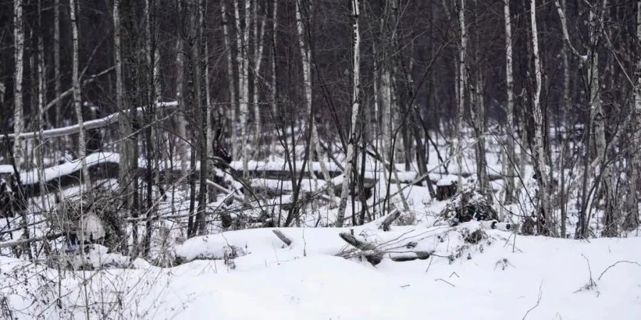 Sniper im Ukraine-Krieg