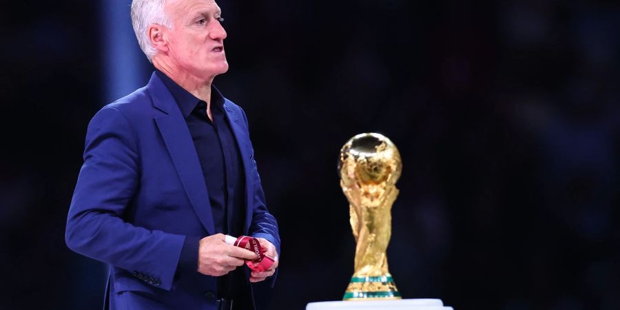 Trainer Didier Deschamps führte Frankreich 2014 in Russland zum Weltmeister-Titel.