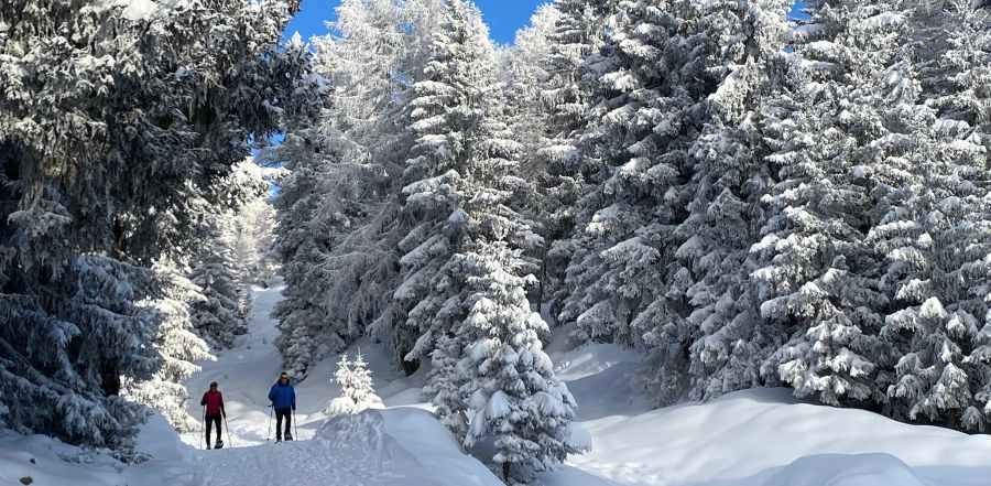 Auf der Bettmeralp VS sind die Schneeschuhwanderer unterwegs.