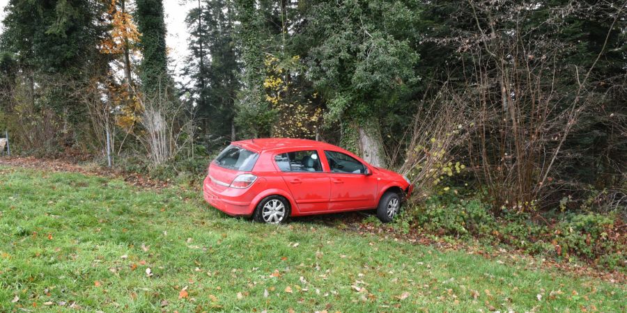 Nottwil: Lenker kommt von Strasse ab und fährt gegen Baum