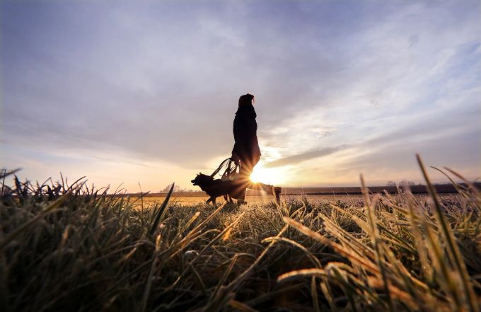 Wer schon nach dem Aufstehen etwas Bewegung und Licht tankt, wird besser wach. Feld Person Hund Spaziergang Morgen Sonnenaufgang