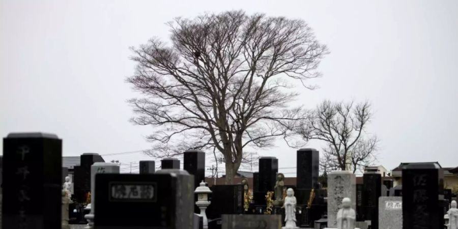 Friedhof für Tsunami-Opfer
