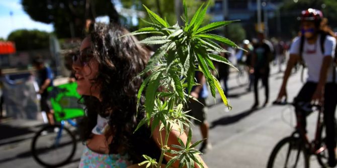 Cannabis