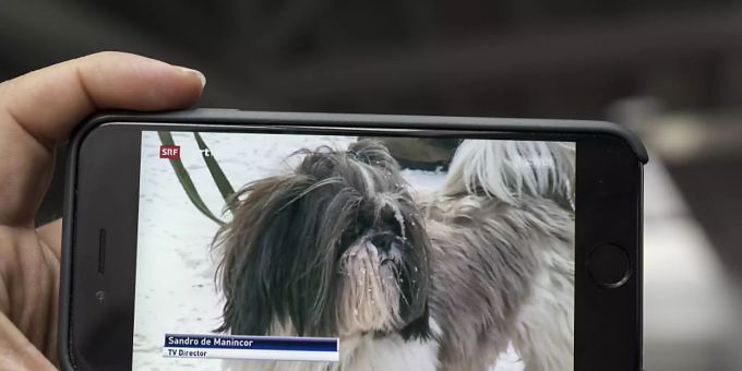 Live-TV gefragter - Schweizer nutzen Internet als TV-Empfangsweg