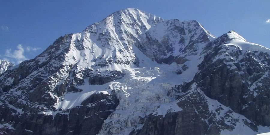 Königsspitze Lawine