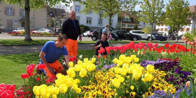 Stadtgärtner Manfred Birk (Mitte) mit Marcel Braun (links) und Luca Widmer vom Werkhof-Team. Stadt Arbon