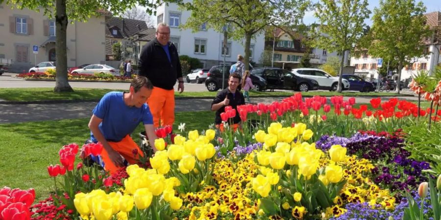Stadt Arbon