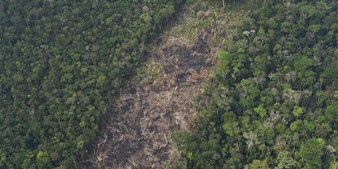 Die Abholzung im brasilianischen Amazonas-Regenwald ist einem Bericht zufolge in den ersten beiden Monaten des Jahres auf dem niedrigsten Stand seit 2018 in diesem Zeitraum gewesen. (Archivbild) Die Abholzung im brasilianischen Amazonas-Regenwald ist einem Bericht zufolge in den ersten beiden Monaten des Jahres auf dem niedrigsten Stand seit 2018 in diesem Zeitraum gewesen. (Archivbild)